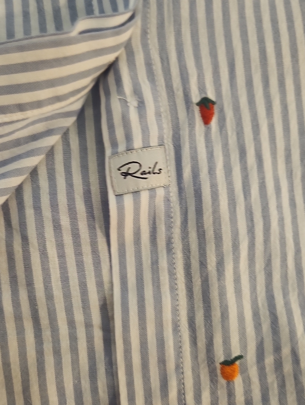 Rails Taylor Embroidered Citrus Button Down Shirt Size Mefium Blue Stripe Cotton - Picture 7 of 9